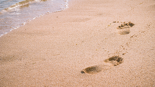 wave and footprints on clear sandy beach beeczmw